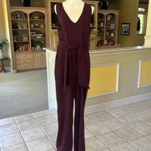 Ann Taylor Eggplant Purple Jumpsuit Size 14